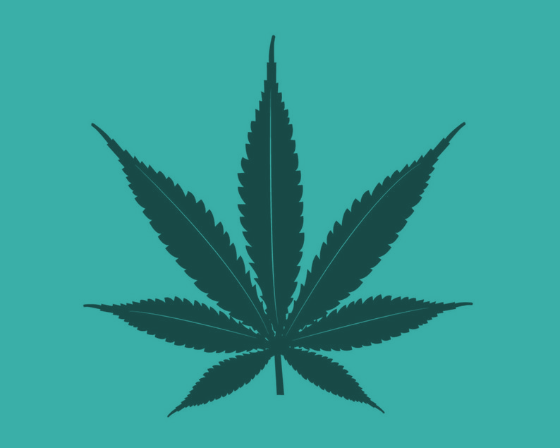 Cannabis Affiliate Program